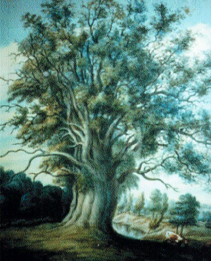 The Big Tree